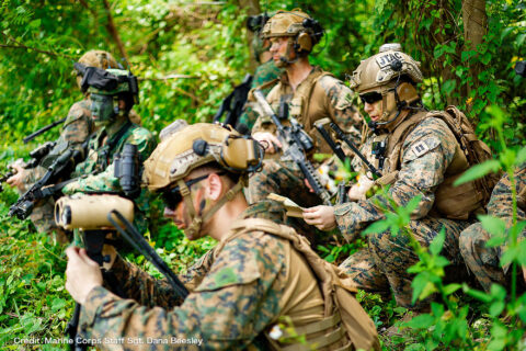 Credit-Marine-Corps-Staff-Sgt.-Dana-Beesley.jpg